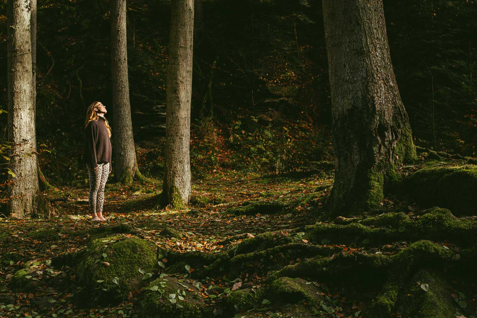 Berufliche Übergänge – Personal Brand Portrait