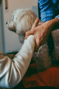 Seniorenfotografie Abschiedsfotografie Stuttgart Ludwigsburg Pforzheim Vaihingen an der Enz